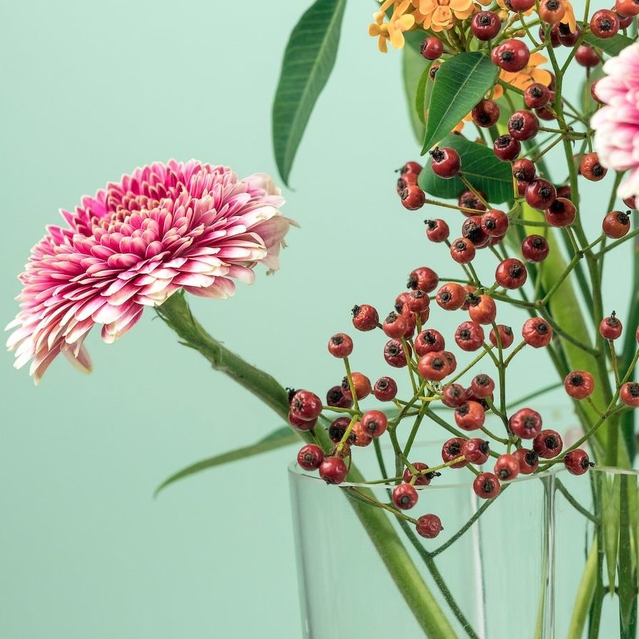 pink, yellow and brown petaled flowers